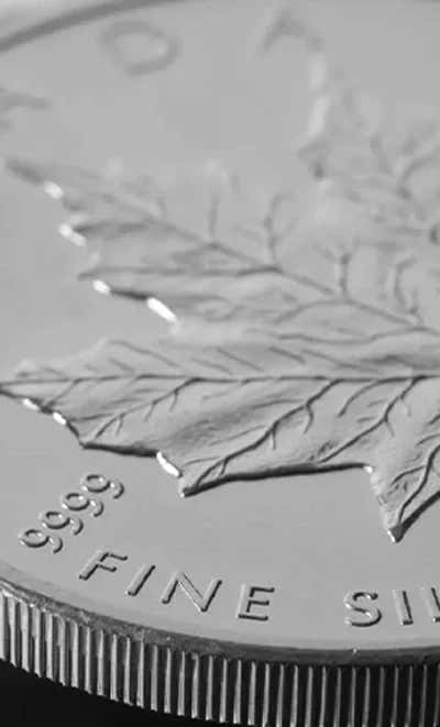 Silver Maple Leaf