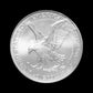1 oz American Silver Eagle